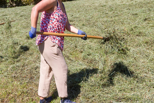 Ein Bauer arbeitet hart auf einer Weide und sammelt Gras - Foto, Bild