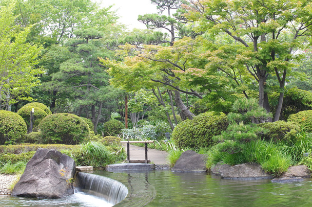 verde jardim japonês
 - Foto, Imagem