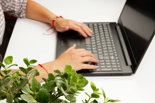 żeńskie ręce wpisują tekst na klawiaturze laptopa na białym drewnianym tle stołu - Zdjęcie, obraz