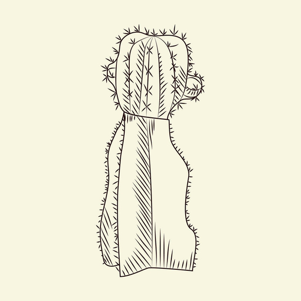 Stenocereus pruinosus cactus geïsoleerd op lichte achtergrond. Wilde cactussen schets. Graveren vintage stijl. Vectorillustratie. - Vector, afbeelding