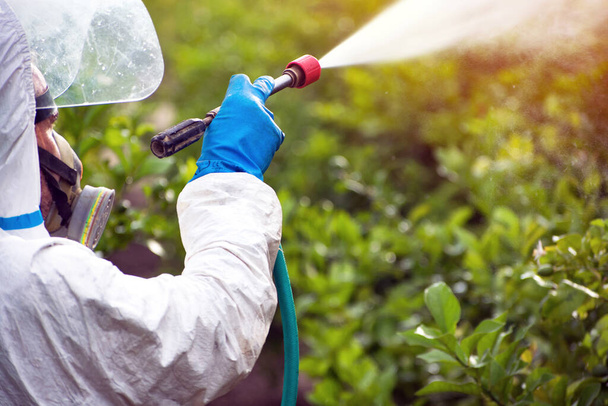 Farm worker in protective suit spray pesticide, insecticide or fumigate in agricultural field. , pest control. Weed insecticide fumigation. Organic ecological agriculture. Spray pesticides, pesticide - Foto, afbeelding