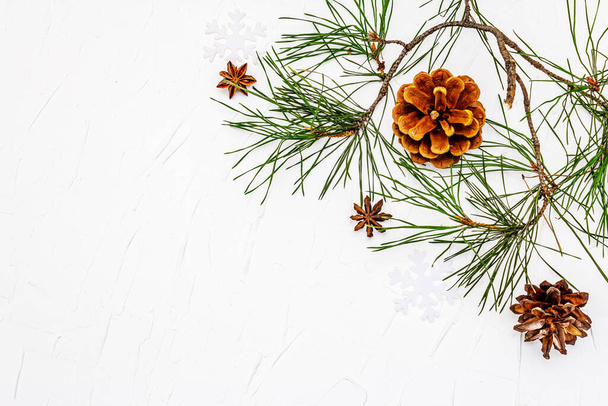 Conceito de Natal ou Ano Novo. Ramos de pinheiro frescos e cones de pinheiro. Branco putty fundo, vista superior - Foto, Imagem