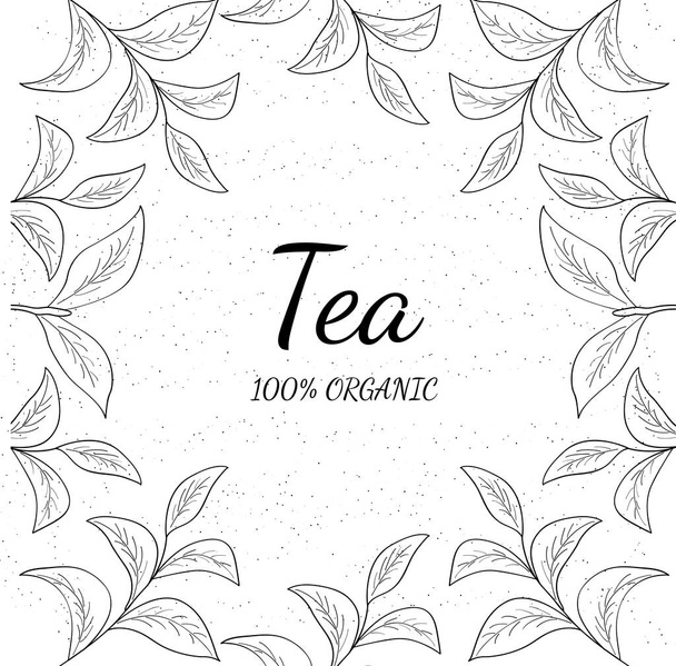 Зеленый чай, эскиз шаблона - Вектор,изображение