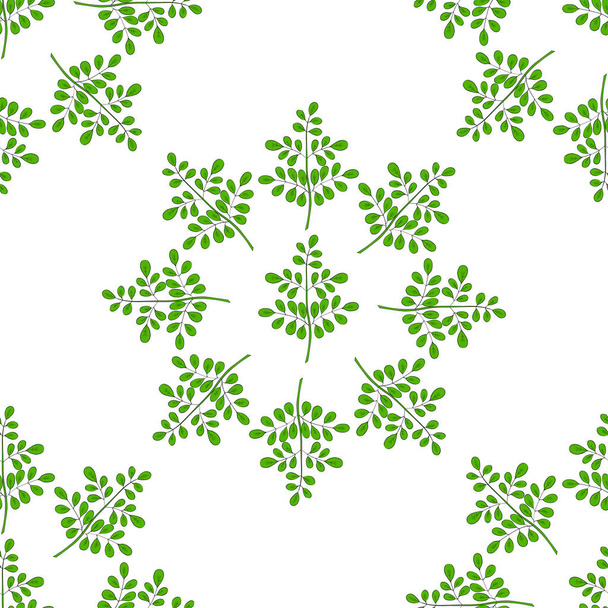 Moringa oleifera in color, seamless 3 - Vector, imagen
