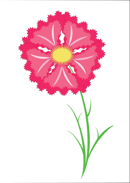 Purple carnation, object white isolated, illustration in vector format. - Vecteur, image