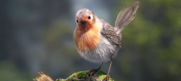 Prachtige mollige vogel zittend op boomtak in bos, Close-up zicht - Foto, afbeelding