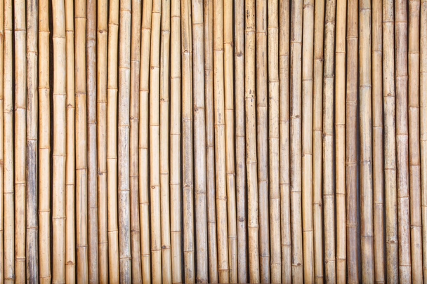 natuurlijke bamboe hek textuur  - Foto, afbeelding