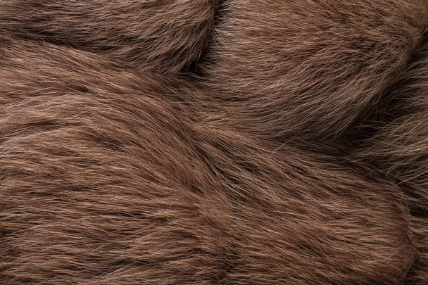  beige avec fond de texture marron, fourrure naturelle de renard, papier peint, horizontal - Photo, image