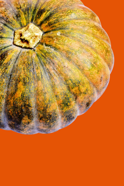 Abóbora isolado fundo laranja, Abóbora de Halloween com caminho de recorte, sem sombra, fundo de outono, Abóbora de Ação de Graças - Foto, Imagem