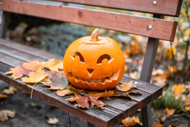 Orange pumpkin for halloween on a bench outside.Halloween concept. - Photo, Image