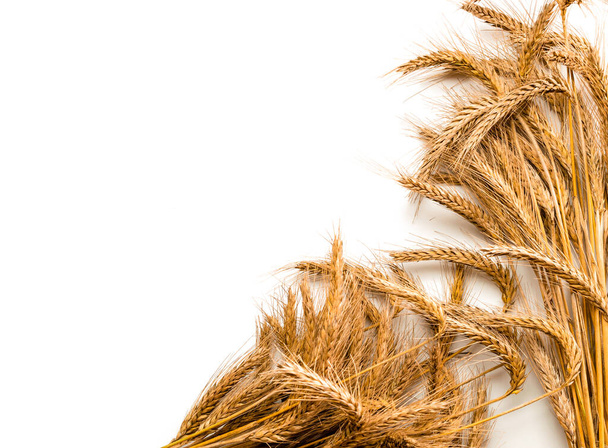 小麦だ。全体として、大麦、小麦の芽を収穫する。小麦の穀物の耳やライスパイク植物は、シリアルパンの小麦粉のために、白い背景に隔離されました。豊作コンセプト - 写真・画像