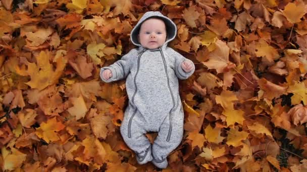 Немовля грає з листям на осінньому фоліаті. Портрет малюка в осінньо-жовтому листі, маленьке дитя і осіннє листя в парку
 - Кадри, відео