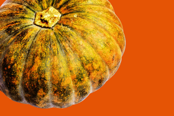 Pumpkin isolated in white background, Halloween pumpkin, autumn background, Thanksgiving pumpkin - Photo, Image