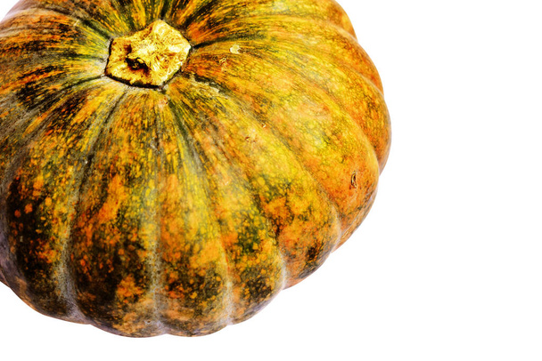 Kürbis isoliert auf weißem Hintergrund, Halloween-Kürbis, Herbst-Hintergrund, Thanksgiving-Kürbis - Foto, Bild