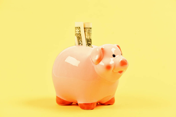 Money budget planning. Financial wellbeing. Economics and finance. Piggy bank pink pig stuffed dollar banknote cash. Save money. Banking account. Earn money salary. Credit concept. Money saving - Foto, immagini