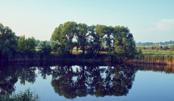Morgendämmerung am Flus.Vegetation spiegelt sich in ruhigem Wasser wider. - Foto, Bild