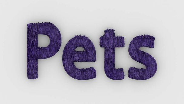 Pets - 3d word violet on white background. render of furry letters. pets fur. Pet shop, pet house, pet care emblem logo design template. Veterinary clinics and animal shelters homeless illustration - Photo, Image