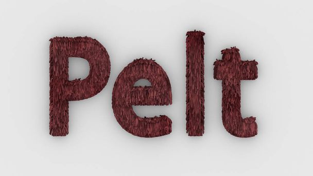 Pelt - palabra roja 3d aislada sobre fondo blanco representación realista de letras peludas ilustración. piel de combinación natural. piel de piel. piel de animal. perro, gato, oso, tigre, lobo, bestia, ganado. animales - Foto, imagen