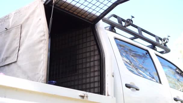 Моль цвета рабочей собаки прыгает на лоток грузовика, замедленная съемка - Кадры, видео