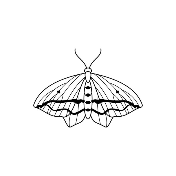 Icono de mariposa en un estilo de tendencia lineal minimalista. Ilustraciones del contorno vectorial de polillas de insectos para crear el logotipo - Vector, imagen