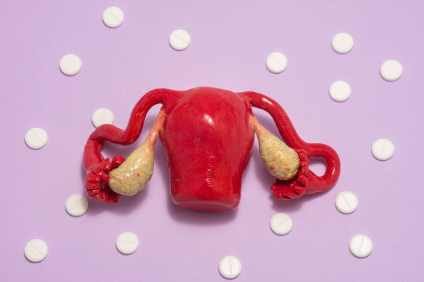 Anatomical model of female uterus with ovaries is on purple background with white tablets around, forming ornament in polka dots. Concept art photo for use in gynecology, women reproductive health - Photo, Image