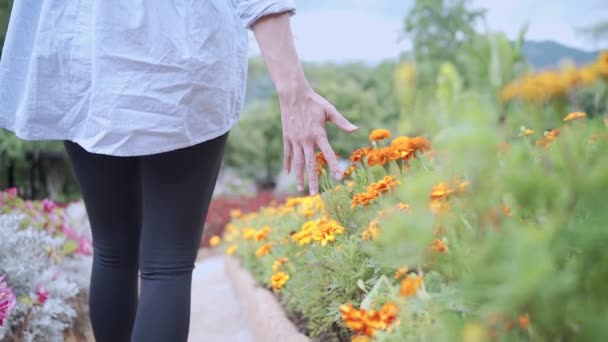 mladá žena kráčet podél krásných květin keře na boku, chůze uvnitř zahradní farma flóry, šťastný požitek emocionální scéna, relaxační cestování dovolená, život wellness, mladý věk, žena rakovina prsu   - Záběry, video