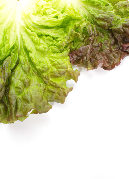 Red lettuce - Photo, Image