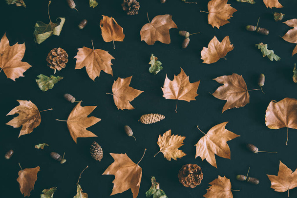 Autumn leaves with acorn and cones composition pattern on dark background from above. Maple leaf texture on black paper. Minimal thanksgiving and halloween seasonal design art. Flat lay. - Photo, Image