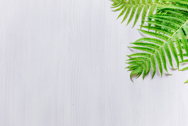 Fern leaves on a light gray background. Minimalism. Space for text, banner. The view from the top - Фото, зображення