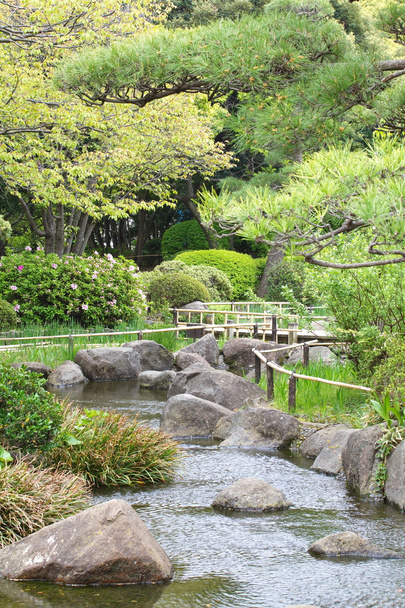 зеленый японский сад
  - Фото, изображение