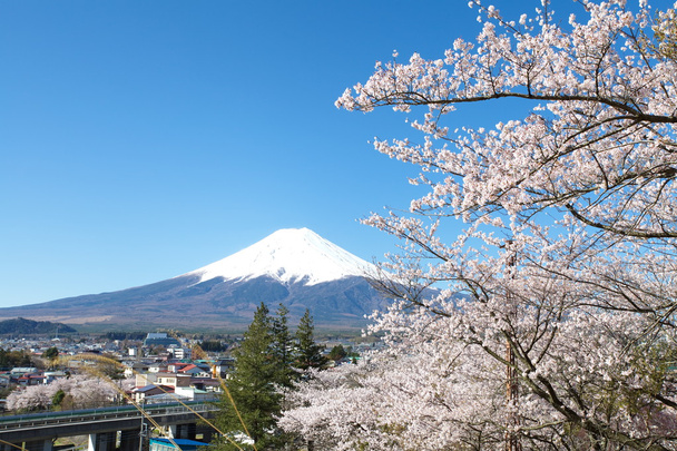 hegyi fuji tavasszal, cherry blossom sakura - Fotó, kép