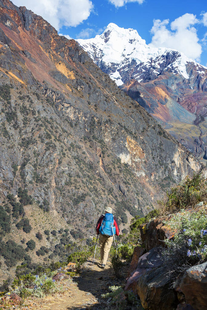 Hiking scene in Cordillera mountains, Peru - Фото, изображение