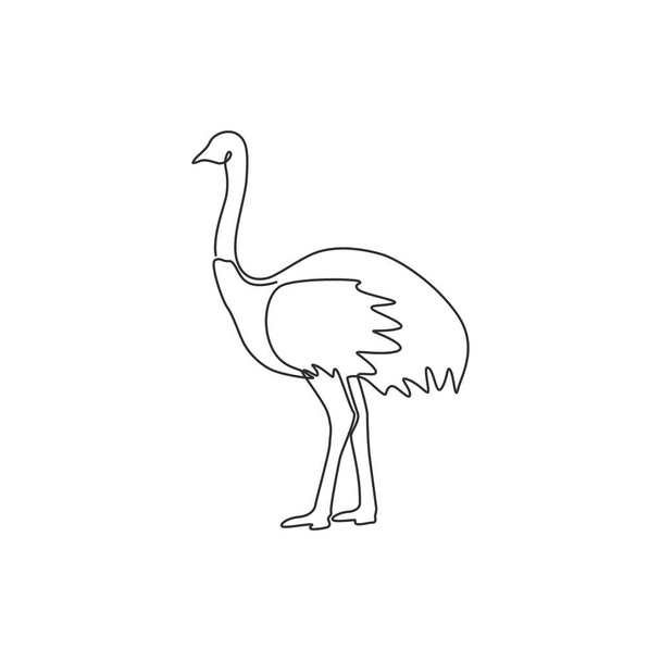 Jednoduchá souvislá kresba velkého pštrosa pro logo identity. Koncept maskota ptáka s dlouhým hrdlem pro ikonu národní zoo. Moderní jednořádková kresba grafického návrhu vektorové ilustrace - Vektor, obrázek