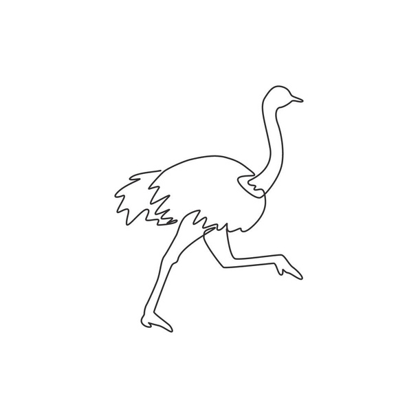 Jedna jednořádková kresba obrovského pštrosa běžícího za logem identity. Koncept maskota ptáka bez letu pro ikonu safari parku. Moderní kresba spojité čáry vektorové ilustrace - Vektor, obrázek
