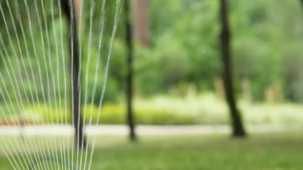 Sistema automatico di irrigazione del prato su uno sfondo di erba verde nel parco cittadino, da vicino. Smart garden attivato con impianto di irrigazione a sprinkler completamente automatico funzionante in un parco verde. Rallentatore - Filmati, video