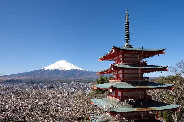春、桜の花桜の山富士 - 写真・画像