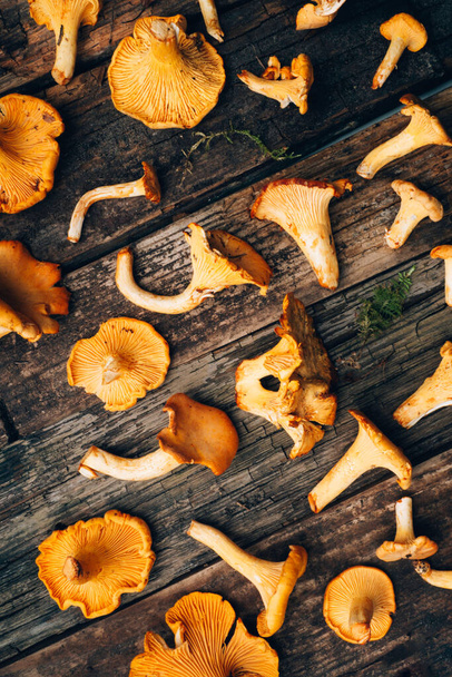 Cantharellus cibarius, cantarelle dourado ou girolle, fungo. em velhas tábuas vintage de madeira - Foto, Imagem