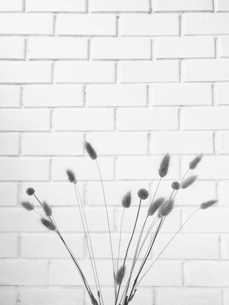 Fluffy tan pom pom plants bouquet on white background. Minimal floral holiday composition. Dry floral branch on white background. Flat lay, top view minimal neutral flower background. - Foto, Imagem