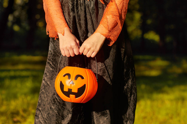 Mädchen mit Korb zu Halloween - Foto, Bild