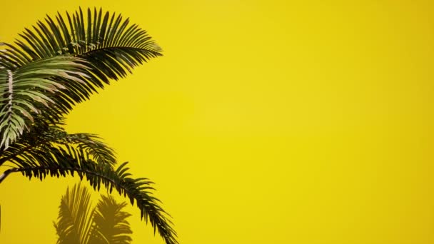 3d palmiye yaprakları sarı arkaplan - Video, Çekim