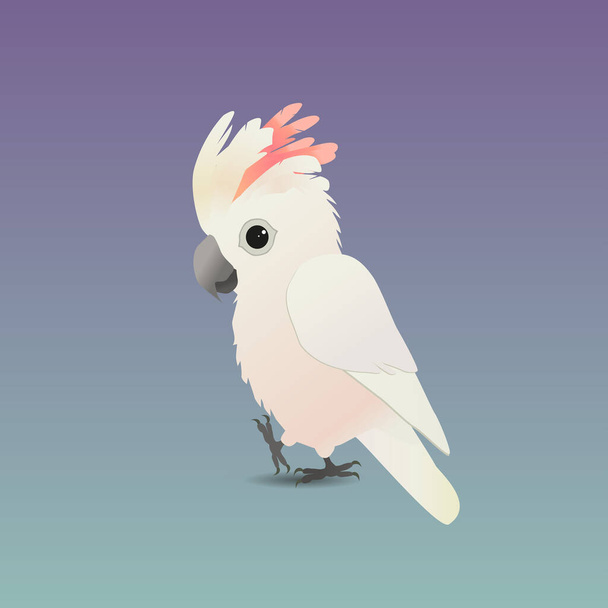 An illustration of a cute salmon-crested cockatoo - Διάνυσμα, εικόνα
