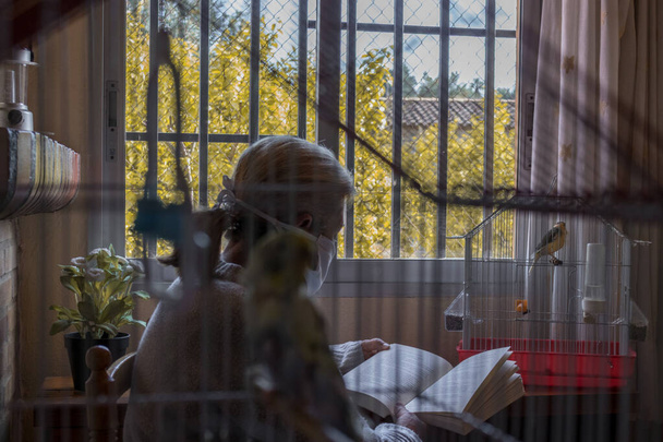Vrouw die een boek leest terwijl ze thuis in quarantaine zit - Foto, afbeelding