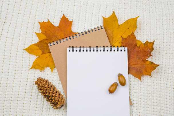 Notepad with an empty space for text on a pile of bright autumn leaves on a white textile knitted blanket background. The view from the top, Flatley. Hugge, comfort in the house. Acorns and pine cone - Foto, immagini