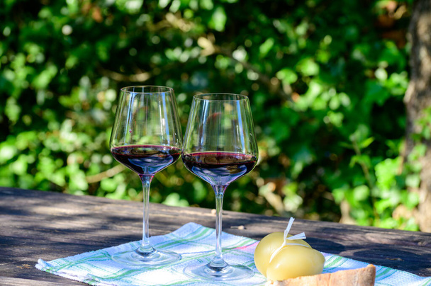 Picnic de verano o almuerzo al aire libre con degustación de vino tinto en viñedos en Lazio, Italia - Foto, imagen