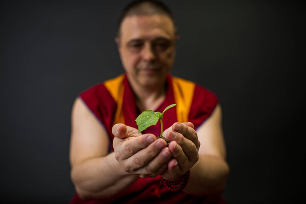 Monje budista en kesa roja. Un monje sosteniendo una planta verde en su mano - Foto, imagen