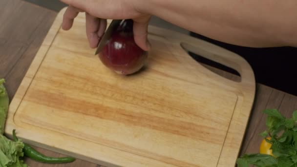 El chef profesional prepara y corta la cebolla roja. Primer plano cámara lenta - Metraje, vídeo