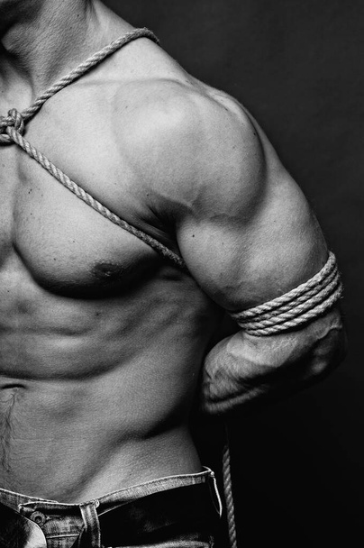 Muscled male model roped in traditional japanesse shibari - 写真・画像