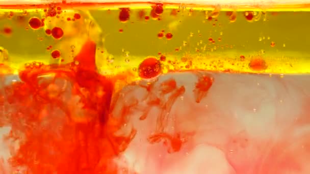 Gocce rosse spruzzate nell'olio e nell'acqua - Filmati, video