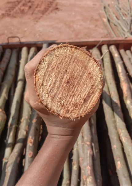 Alfombras de bambú y cestas son hechos a mano - Foto, imagen