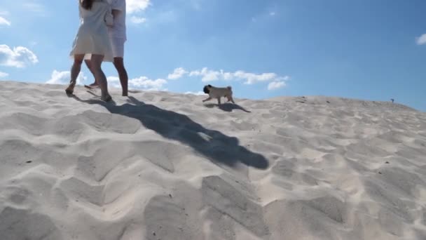 un cane corre dietro ad una coppia innamorata sulla sabbia - Filmati, video